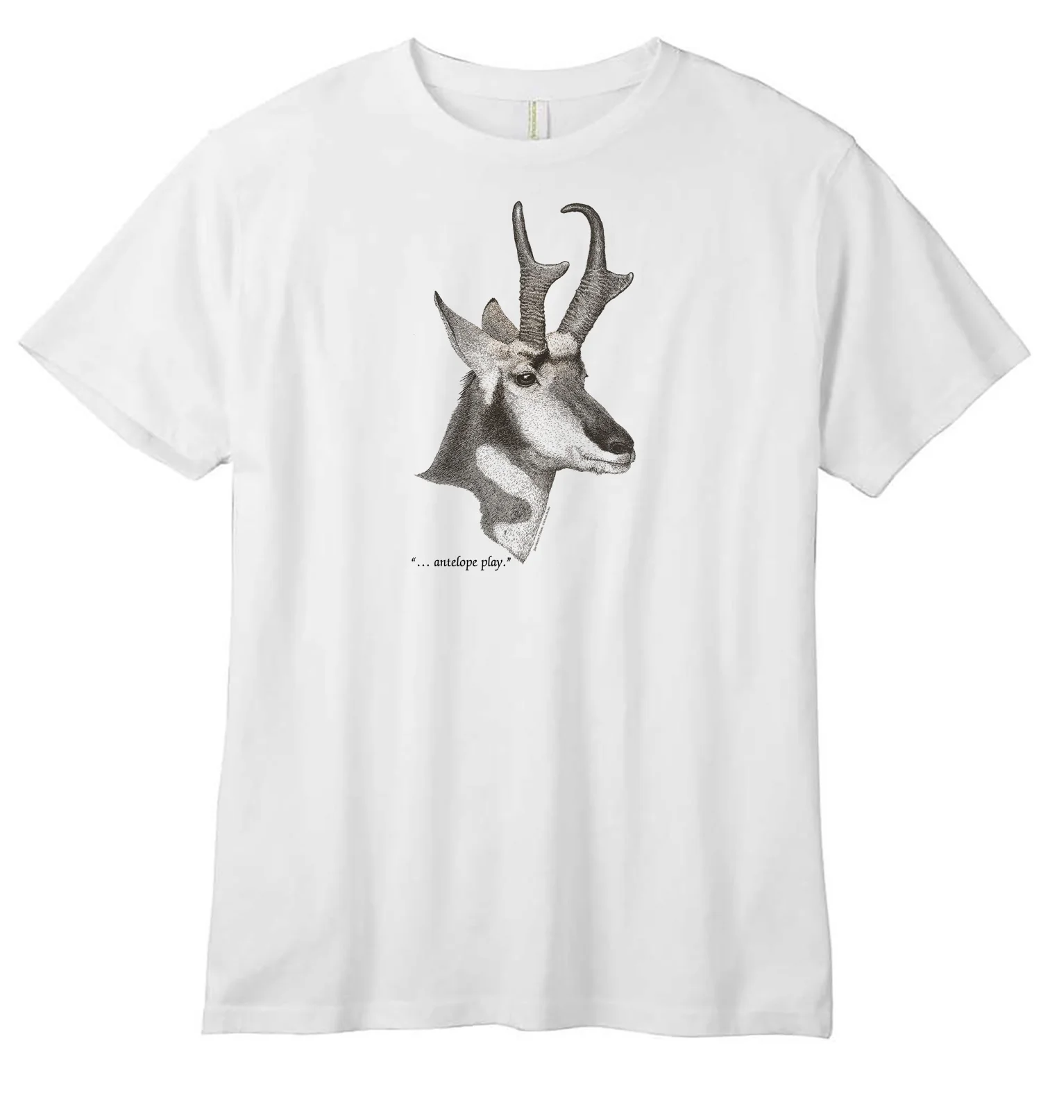 Pronghorn - Image 3