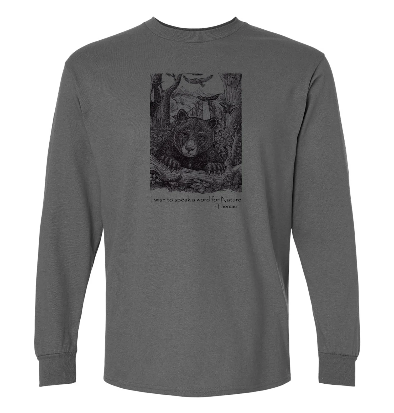Bear Wonder - Image 6