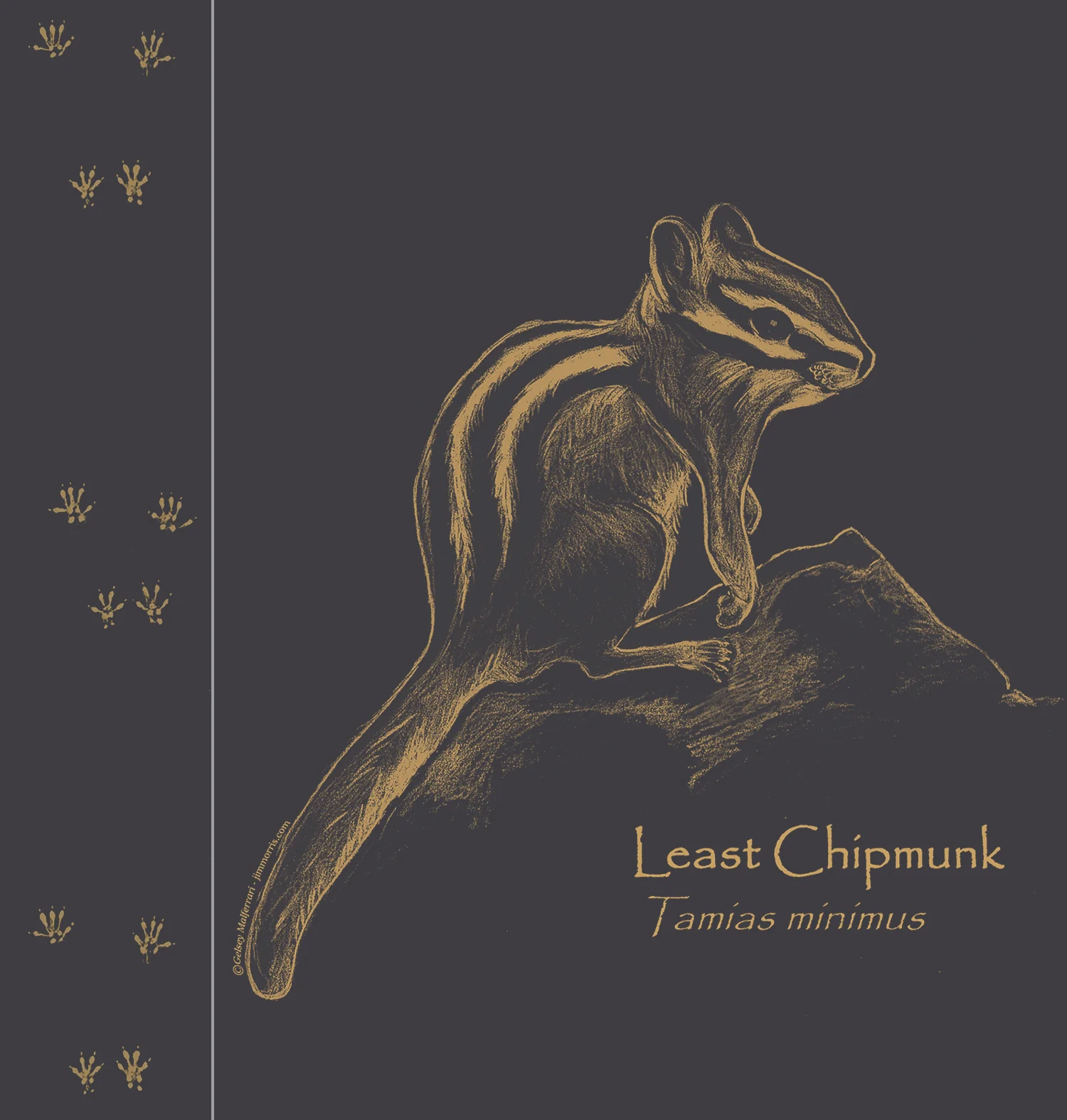 Chipmunk Tracks