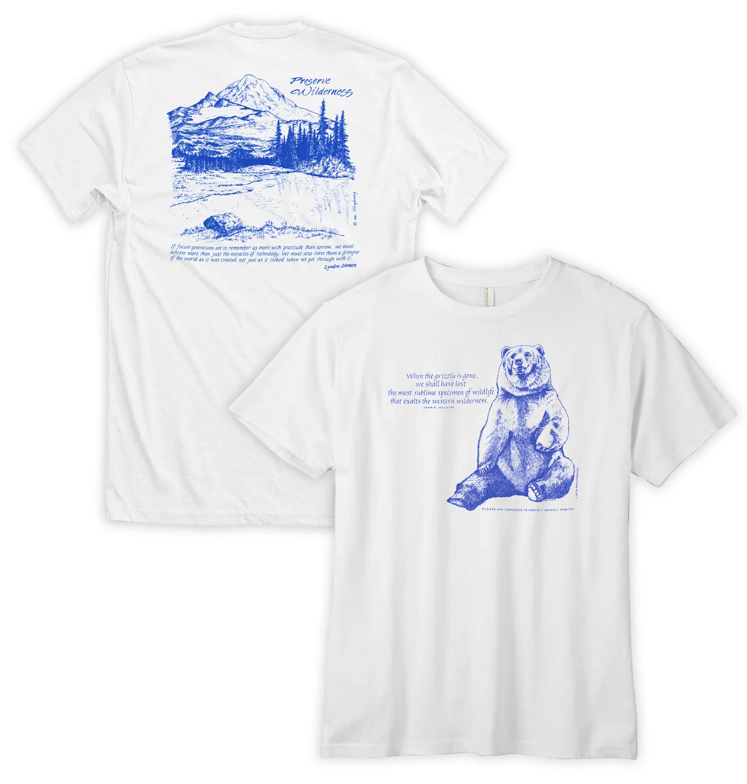 Grizzly Bear / Wilderness - Image 2