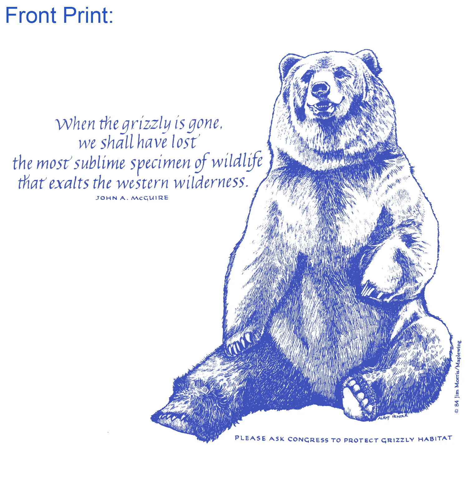Grizzly Bear / Wilderness - Image 5