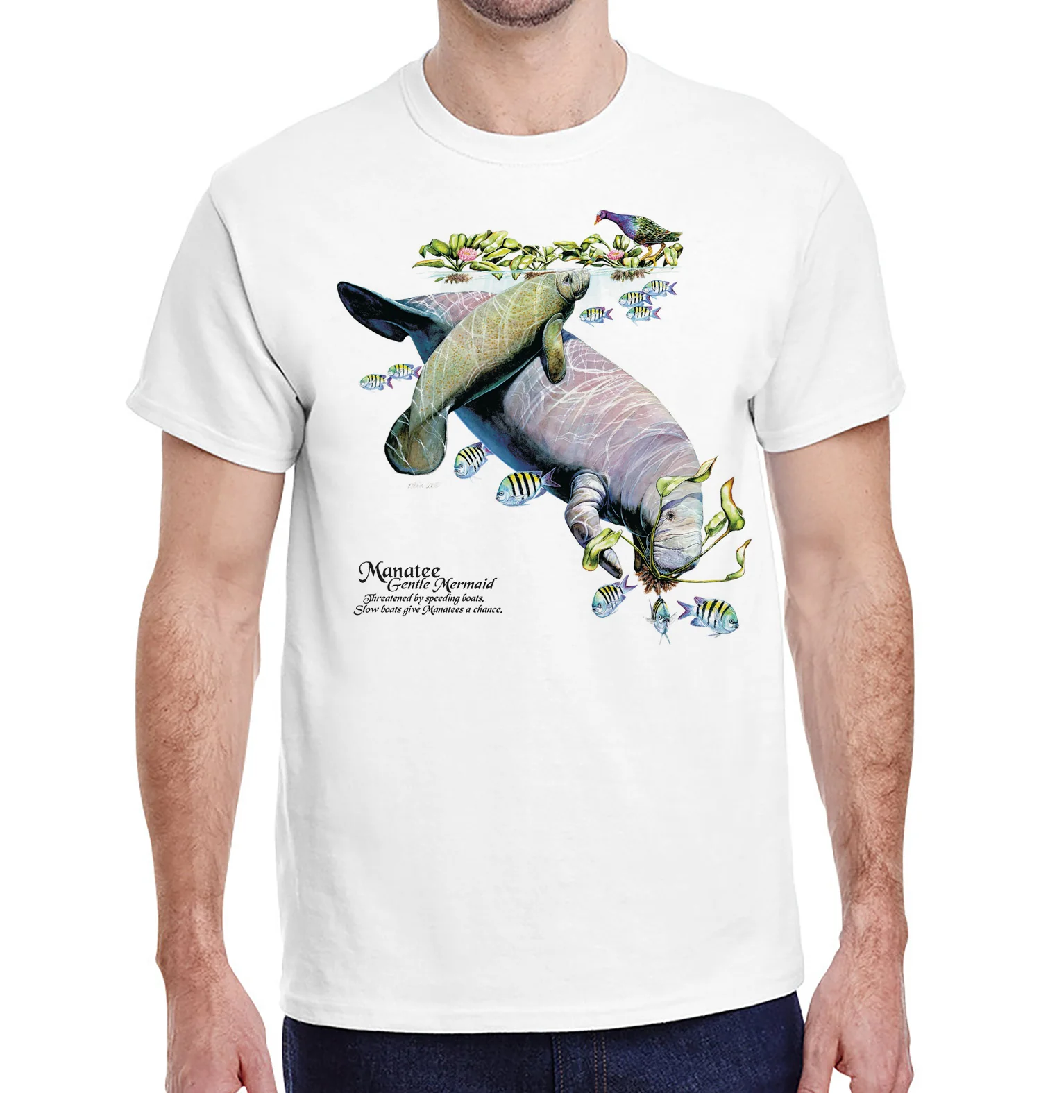 Manatee - Image 2