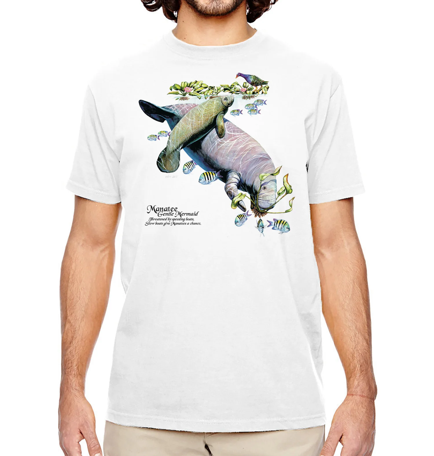 Manatee - Image 3