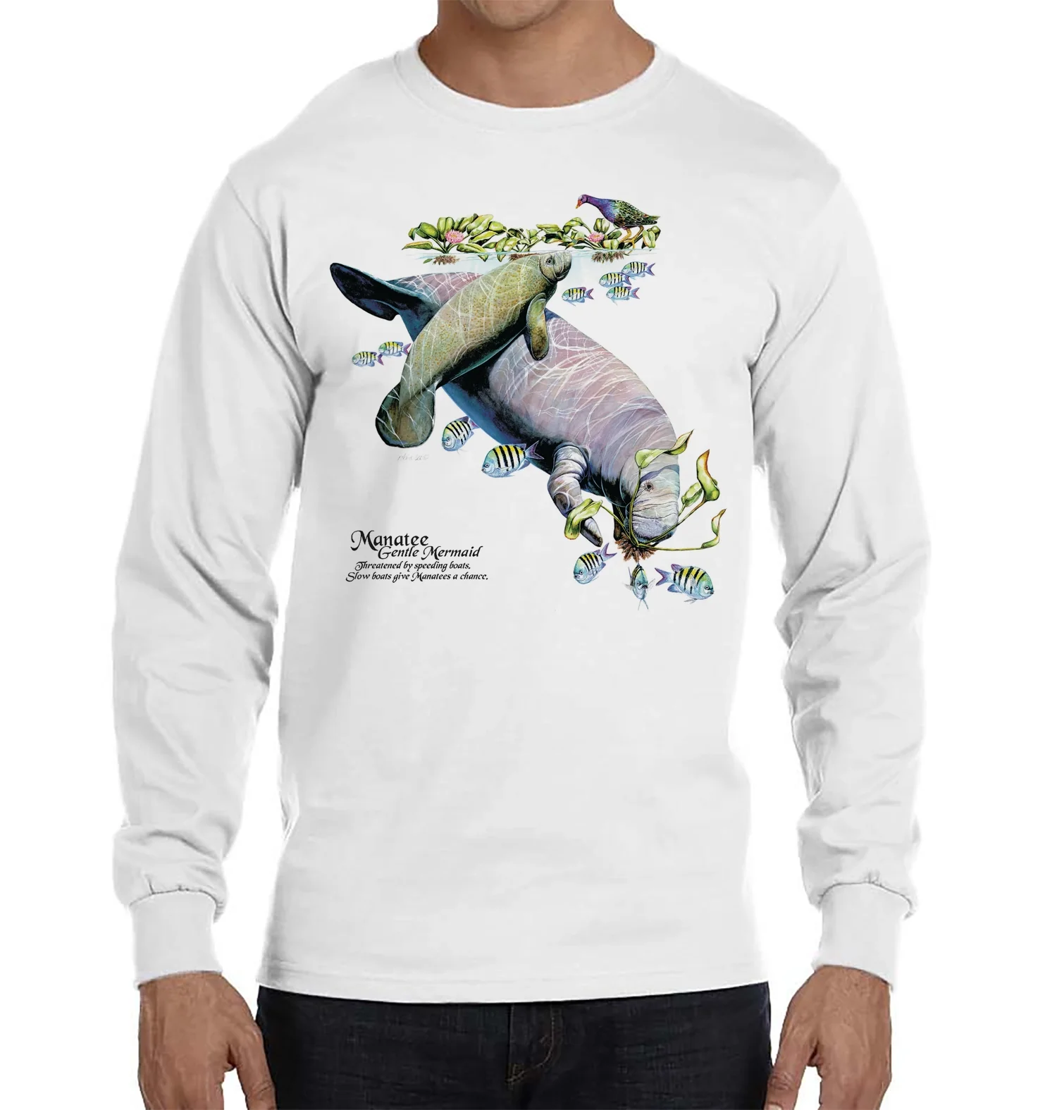 Manatee - Image 5