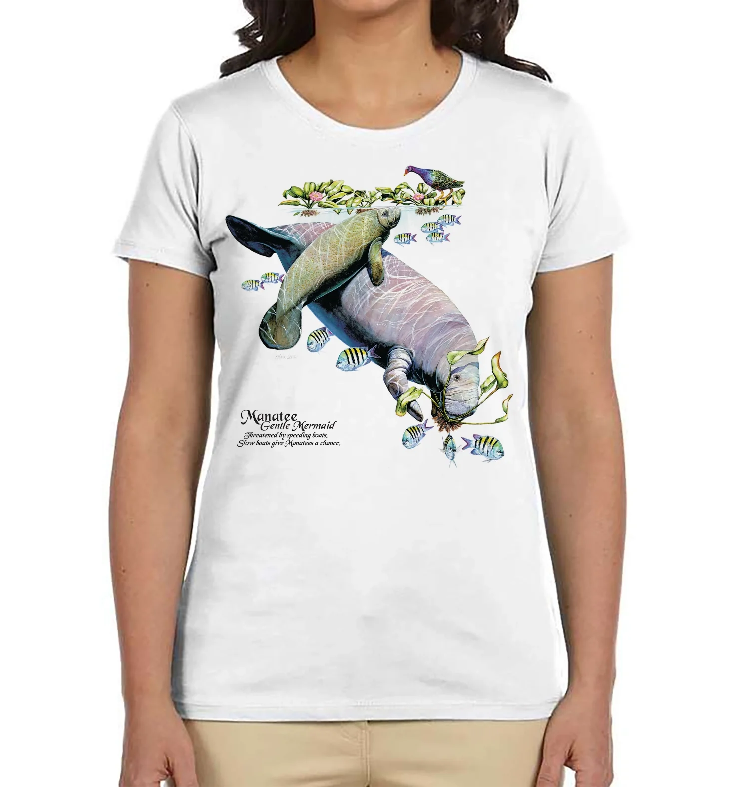 Manatee - Image 6