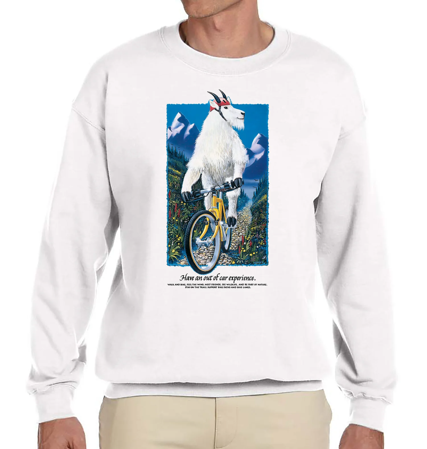 Mountain Goat - Image 6