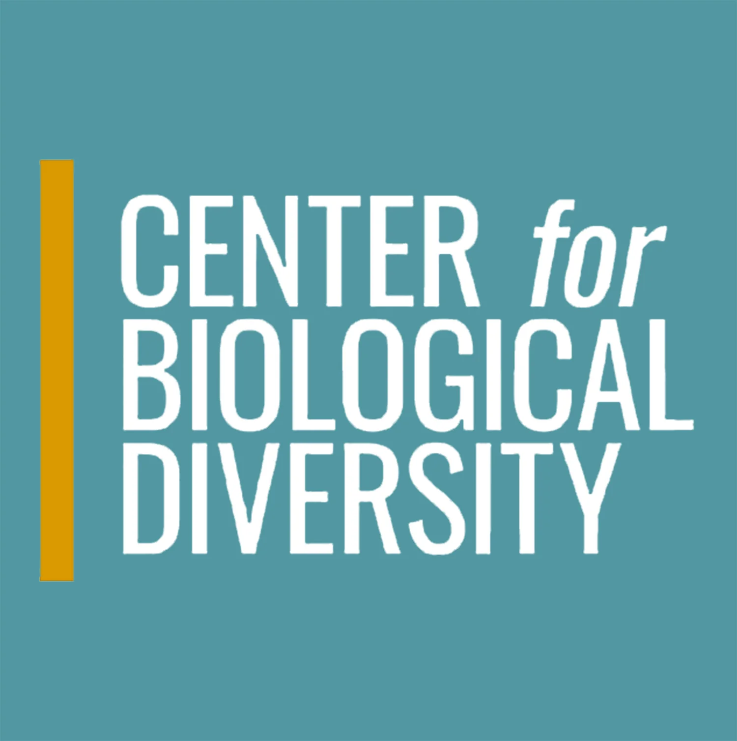 Nautilus T-Shirt - Center for Biological Diversity Fundraiser - Image 7