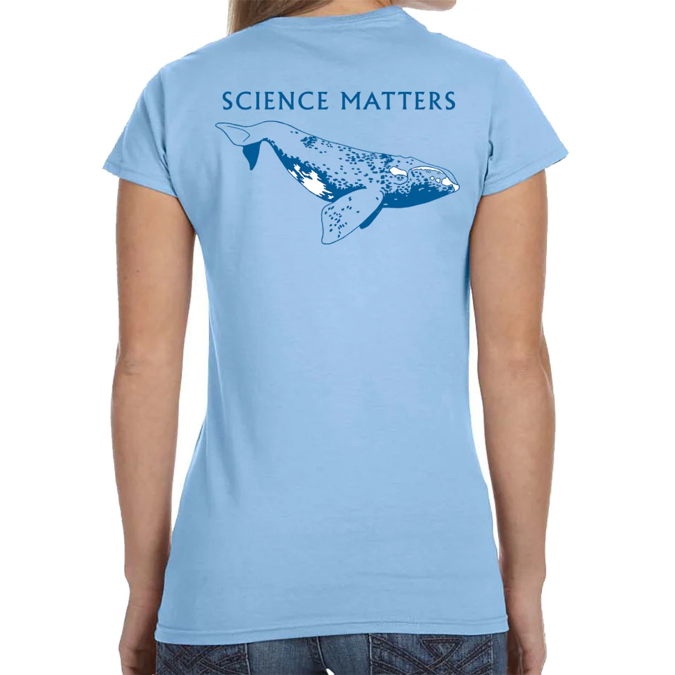 PEER Fundraiser - Right Whale - Image 5
