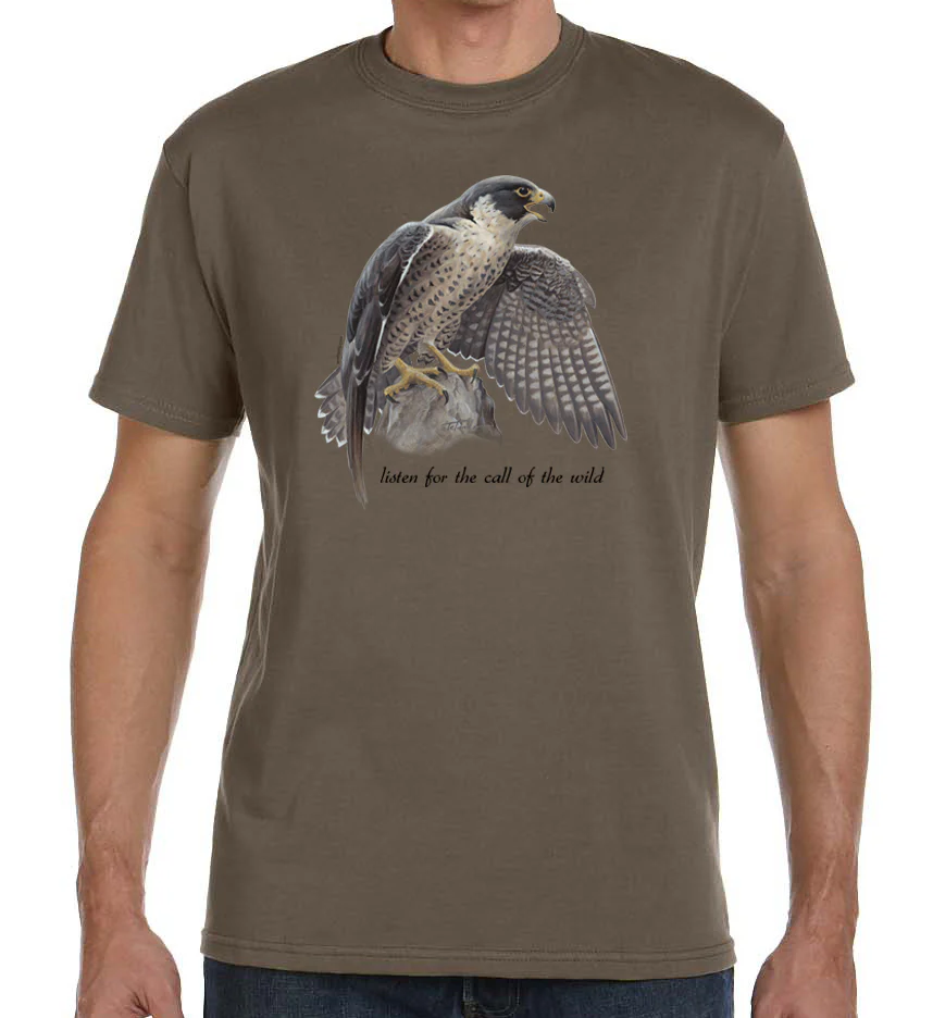 Peregrine Falcon - Image 3