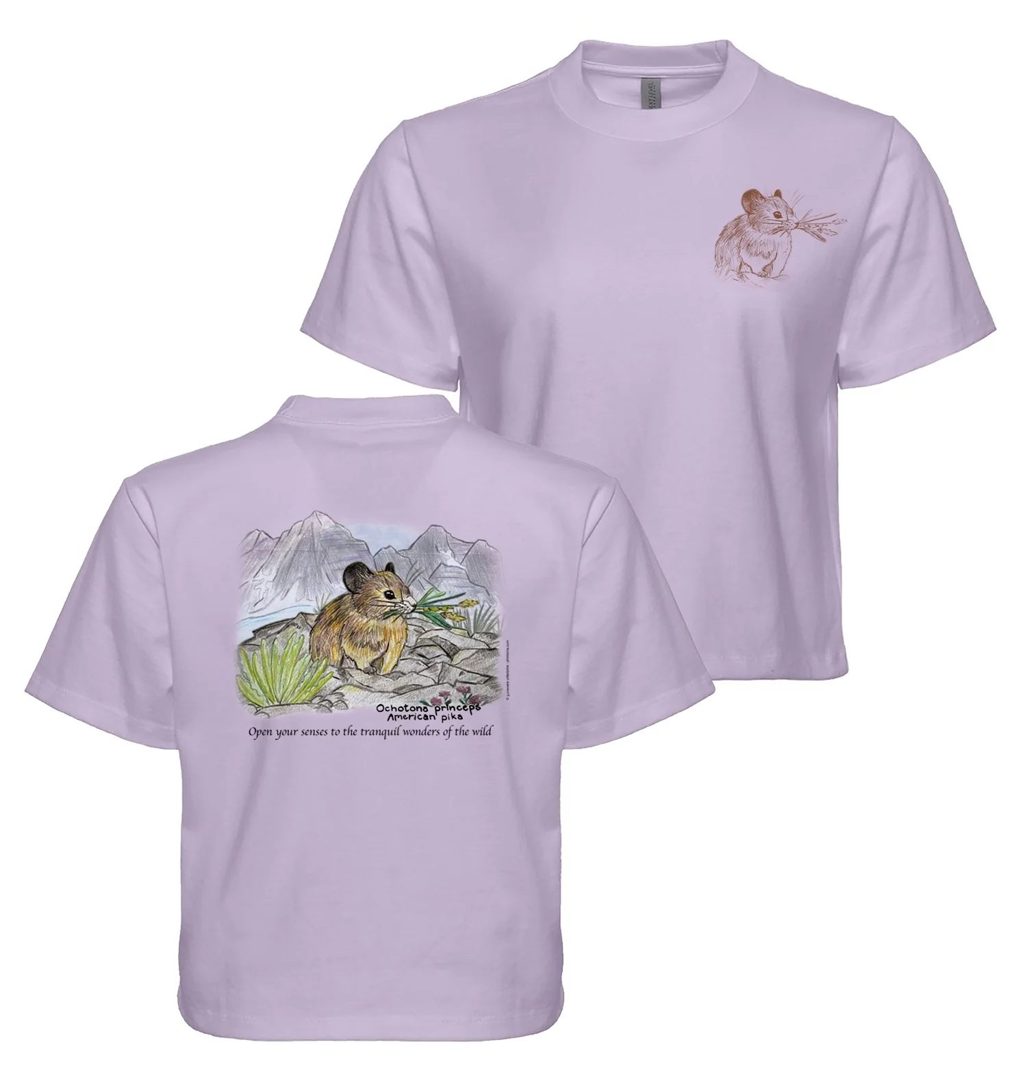 Pika - Image 4