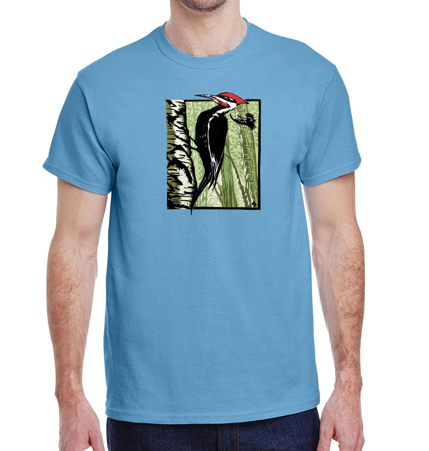 Pileated Woodpecker - Image 3