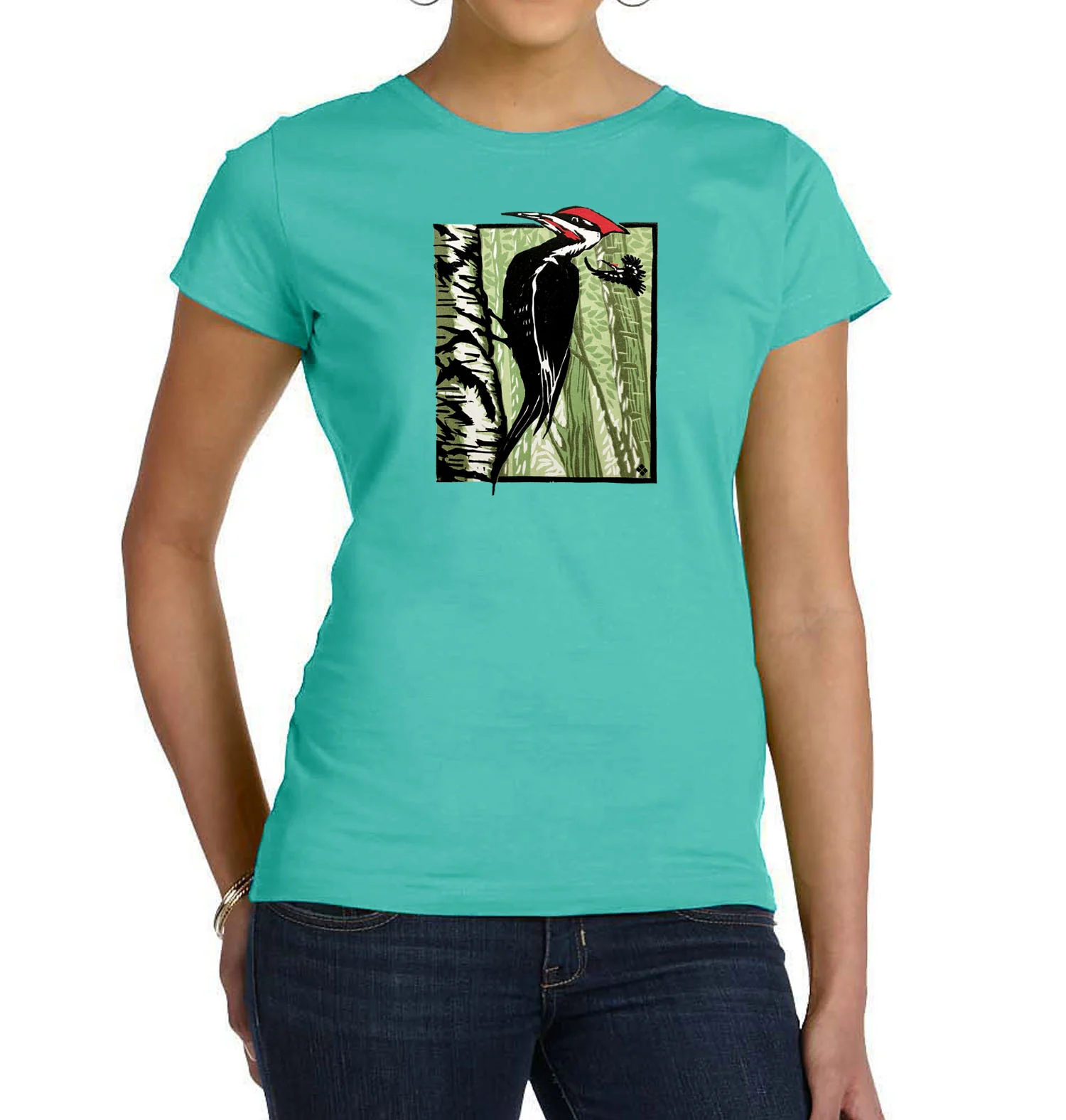 Pileated Woodpecker - Image 4