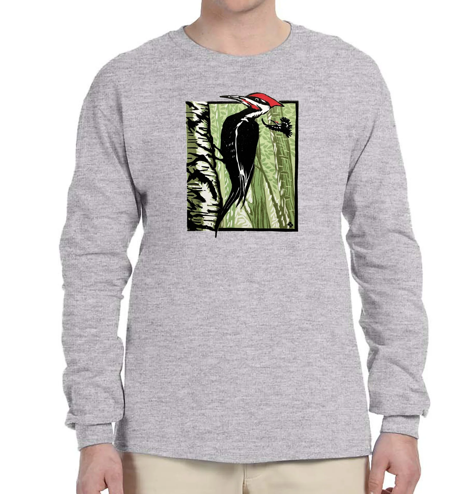 Pileated Woodpecker - Image 6