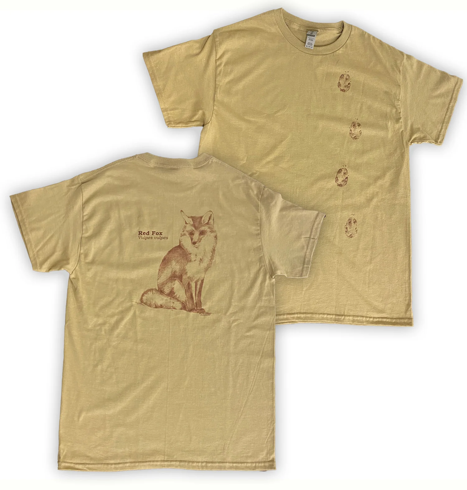 Fox Tracks - Image 3