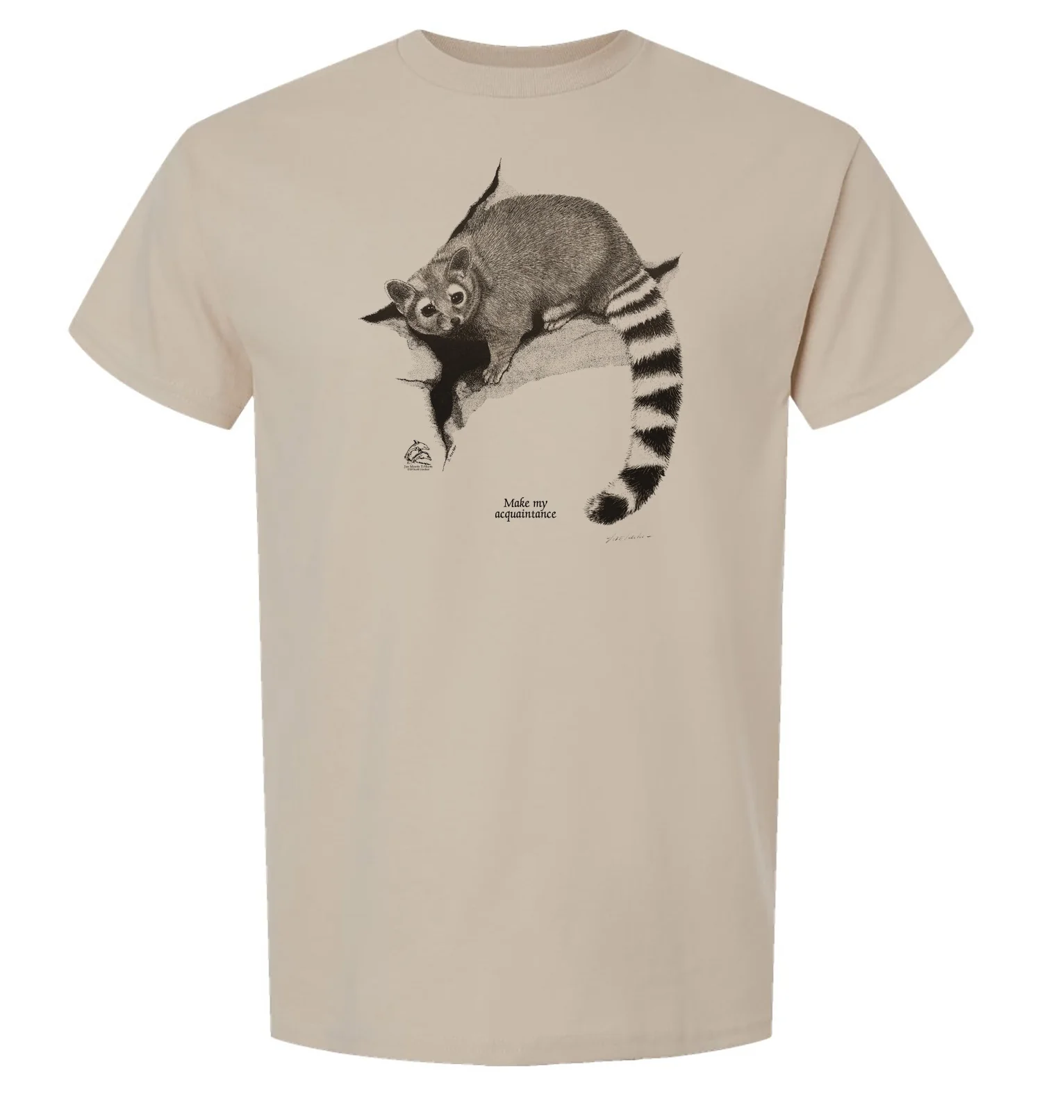 Ringtail - Image 3