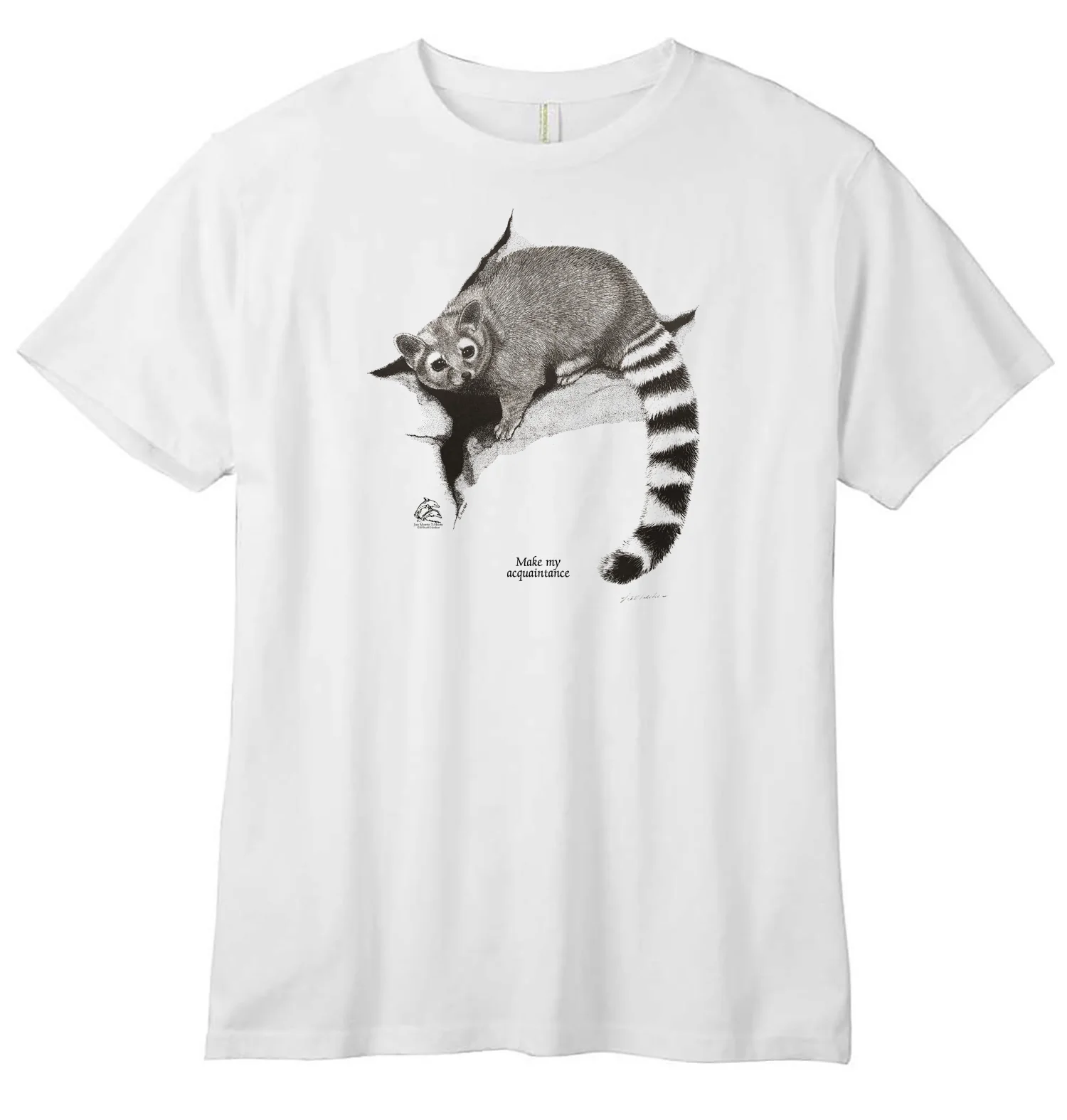 Ringtail - Image 4