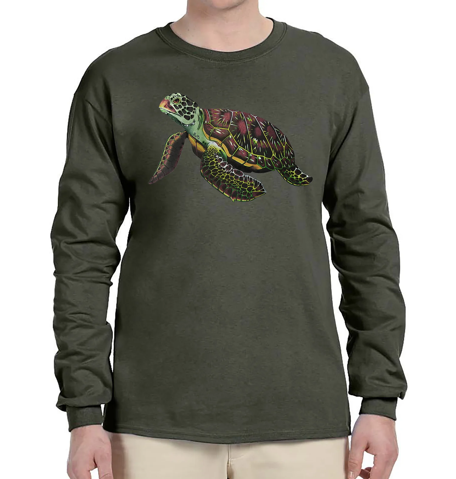 Sea Turtle - Image 4