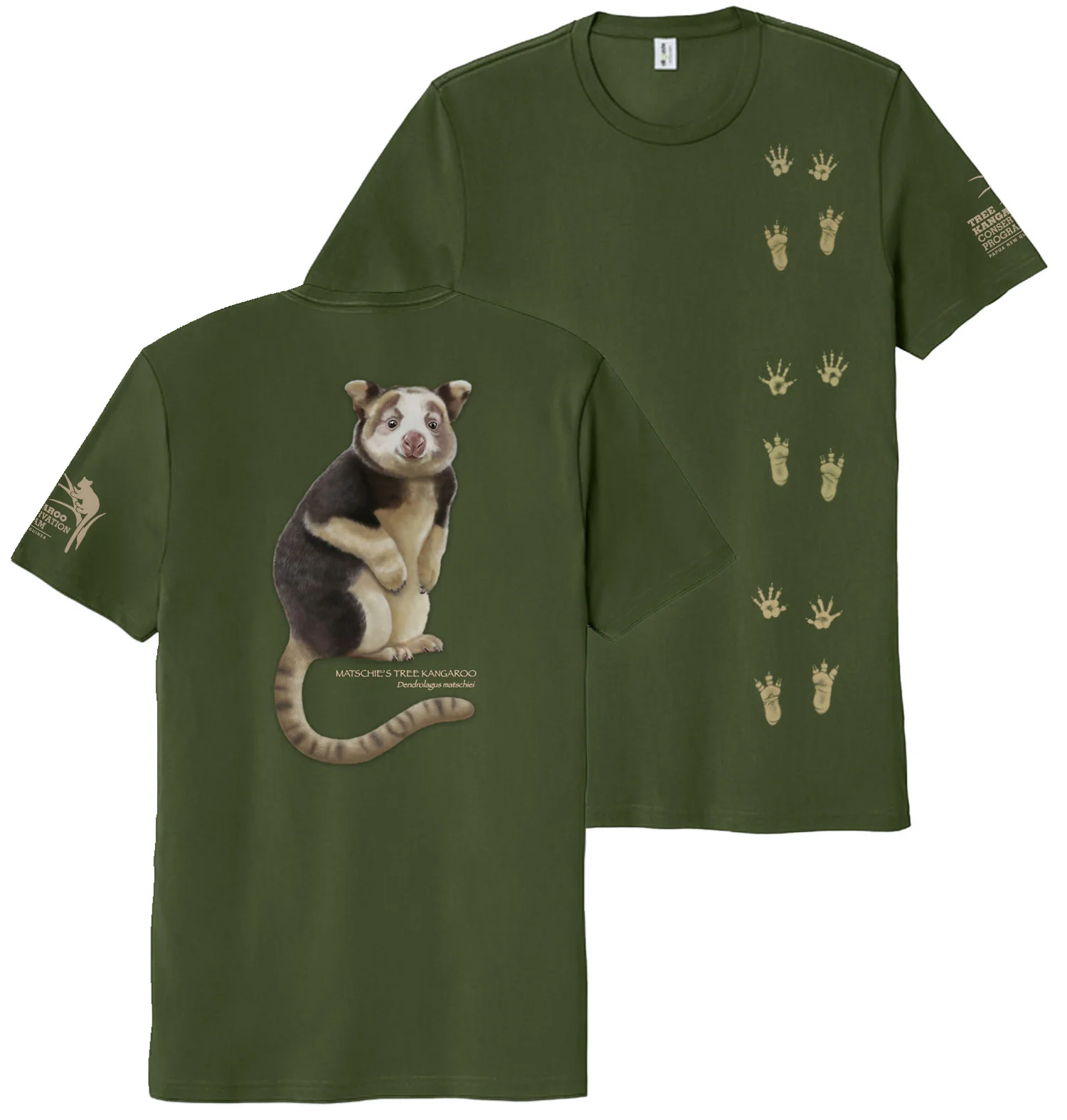 Matschie's Tree Kangaroo - Image 2