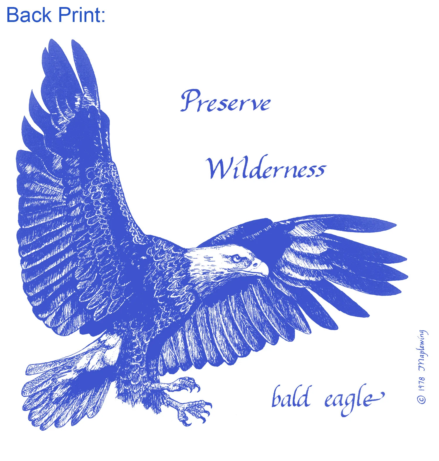 Wolf and Eagle - Image 5